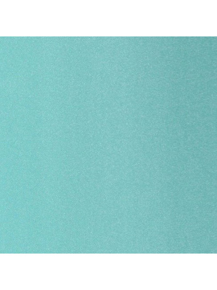 Aqua Pearl Aquamax Shower Panel